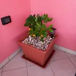 Apartmán Veliki Barbara S Jacuzzijem Za Dvoje- Crikvenica Rijeka *