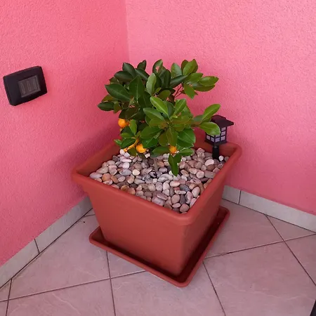 Apartment Veliki Barbara S Jacuzzijem Za Dvoje- Rijeka *