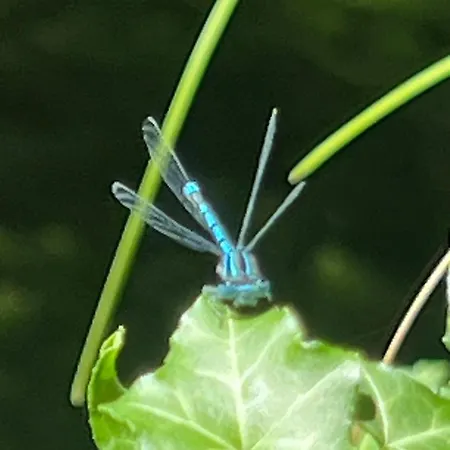 Veliki Barbara S Jacuzzijem Za Dvoje- Crikvenica Rijeka *