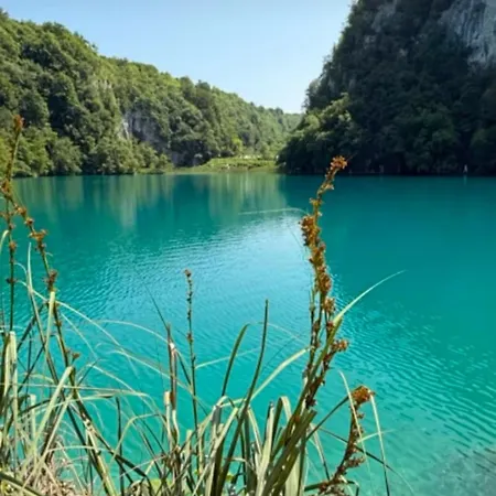 Veliki Barbara S Jacuzzijem Za Dvoje- Rijeka Hreljin